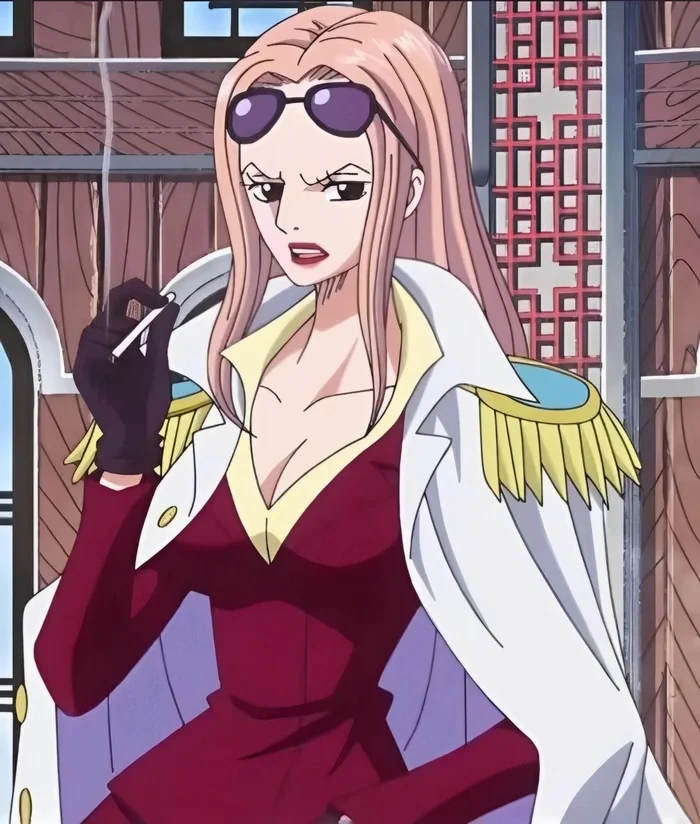 Hình ảnh Hina One Piece lạnh lùng cuốn hút