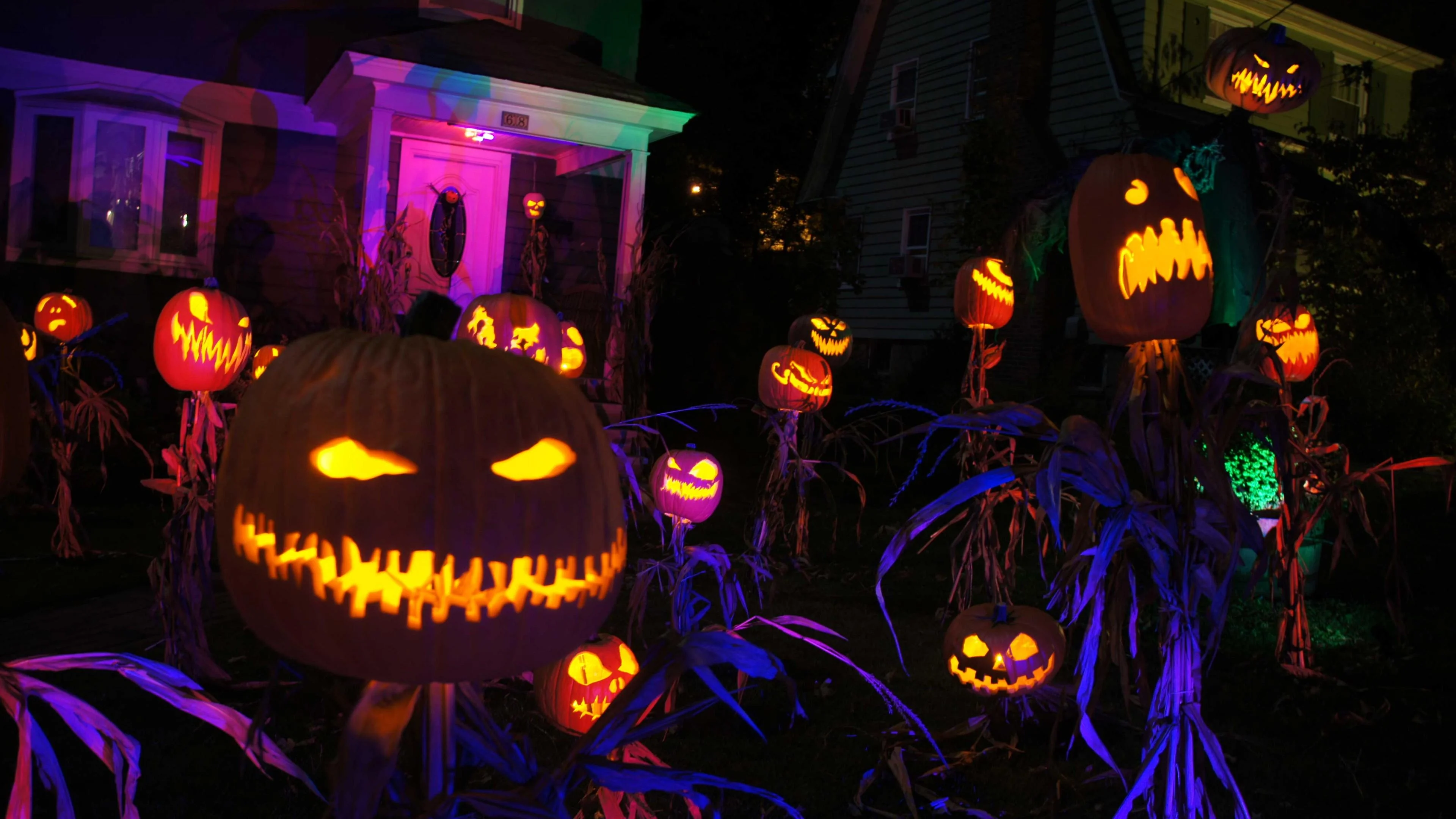 Bí ngô trang trí Halloween trong vườn tối