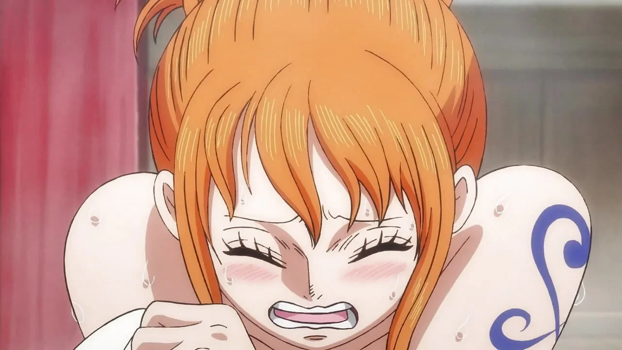 hentai one piece nami, hình 29