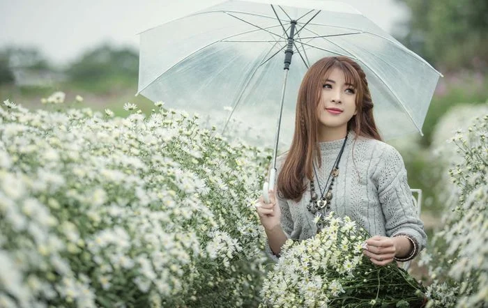 Cô gái xinh đẹp cầm ô giữa vườn hoa làm hình nền