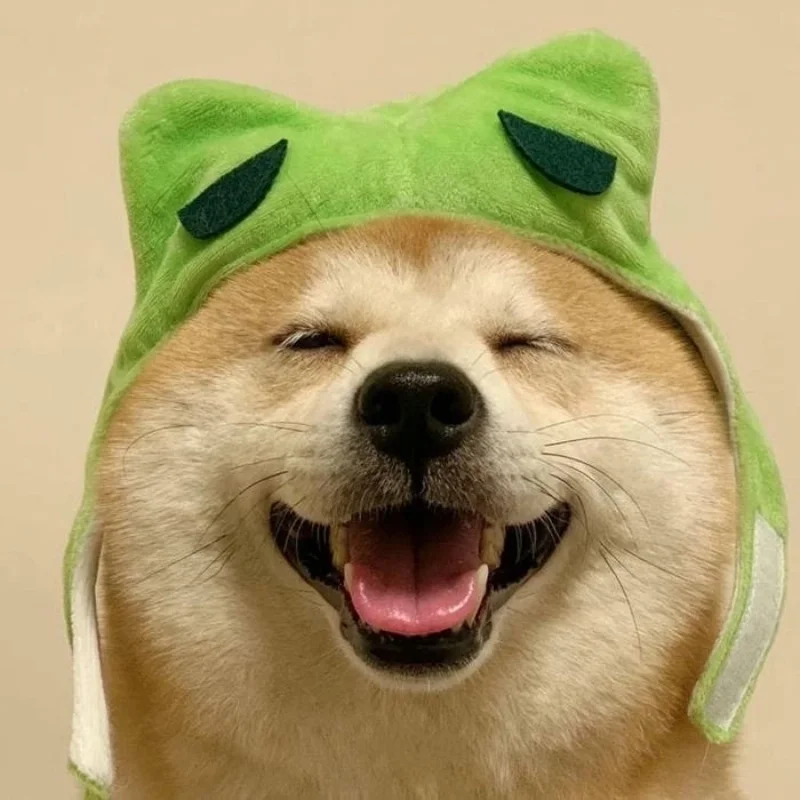 Gương mặt đáng yêu đỉnh cao của meme chó cười khiến ai cũng tan chảy