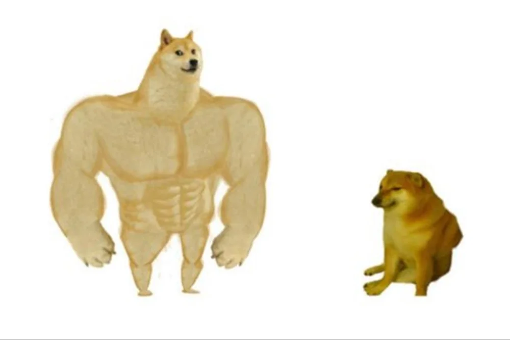Internet dậy sóng vì sự trở lại của meme chó cheems