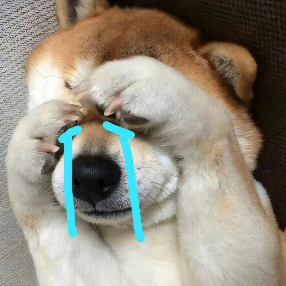 99.000+Ảnh Chó Buồn 🐶💔🥲, Meme Ảnh Con Chó Buồn, Ảnh Chó Khóc