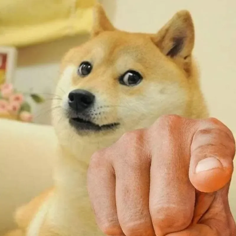 101+ ảnh Meme chó hài, cute - Chó cười, ngáo, bị ong đốt