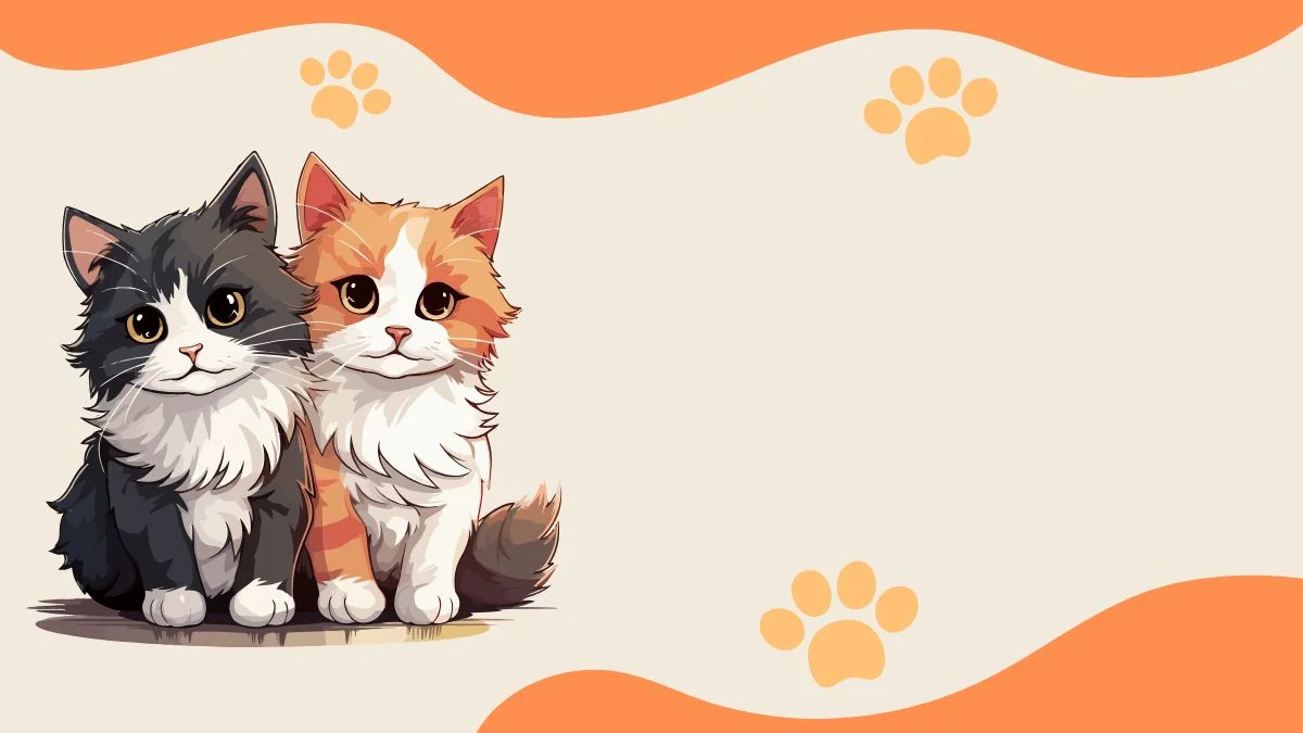 Nền PowerPoint minh họa hai chú mèo dễ thương trên nền cam trắng