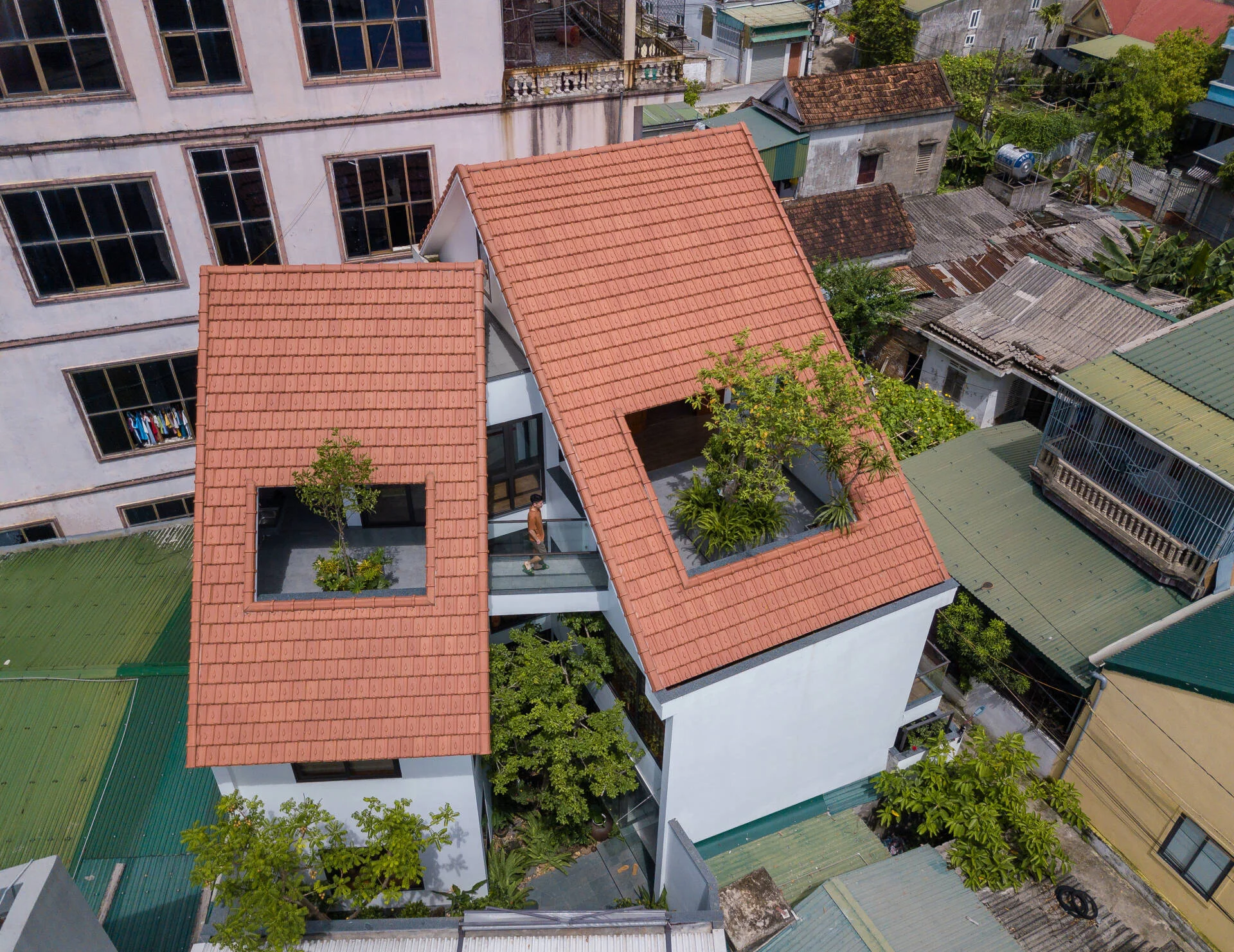 Kiến trúc nhà mái ngói hiện đại có cây xanh trồng trong không gian mở